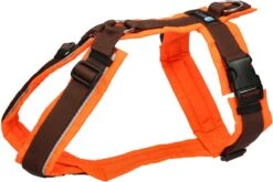 AnnyX Hondentuig – FUN – Speurtuig – Bruin/Neonoranje – Maat M – Borstomvang 62-74cm – Gewicht Hond 18-30 Kg – My K9