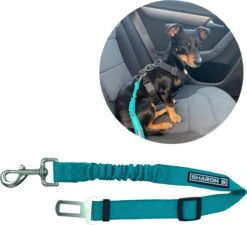 Autogordel Voor Honden – Turquoise – Voor Optimale Veiligheid Onderweg Voor Hond En Baasje – Schok Absorberend – Hondengordel – Voor Alle Honden – Bestand Tegen Grote Krachten – Geschikt Voor Bijna Alle Auto’s