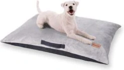 Brunolie Henry Hondenmand – Hondenmat – Wasbaar – Orthopedisch – Slipvrij – Ademend – Pluche / Traagschuim – Maat M (80 X 10 X 55 Cm)