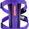 EzyDog Chest Plate Hondentuig Met Autogordel Zekering – Honden Harnas – XS – Paars
