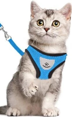 Kattentuigje – Kattenharnas – Kattentuig Met Looplijn – Hondentuigje – Hondenharnas – Blauw – Maat L