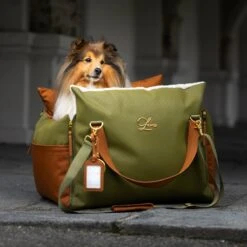 L’élianne ®: Designer Luxe Honden Autostoel – Auto Hondenmand – Verhoogde Autostoel Hond – Honden Reismand – Honden Automand