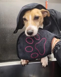 N4dogs – Hondenhanddoek – Honden Handdoek – Microvezel Handdoek – Handdoek Hond – Droogdoek Hond – Dierendeken – Sterk Absorberend – Handdoek Met Zakken – Zwart – 66 X 23 Cm