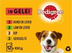 Pedigree Adult Honden Natvoer – Vlees & Gevogelte In Gelei – 48 X 100 Gr